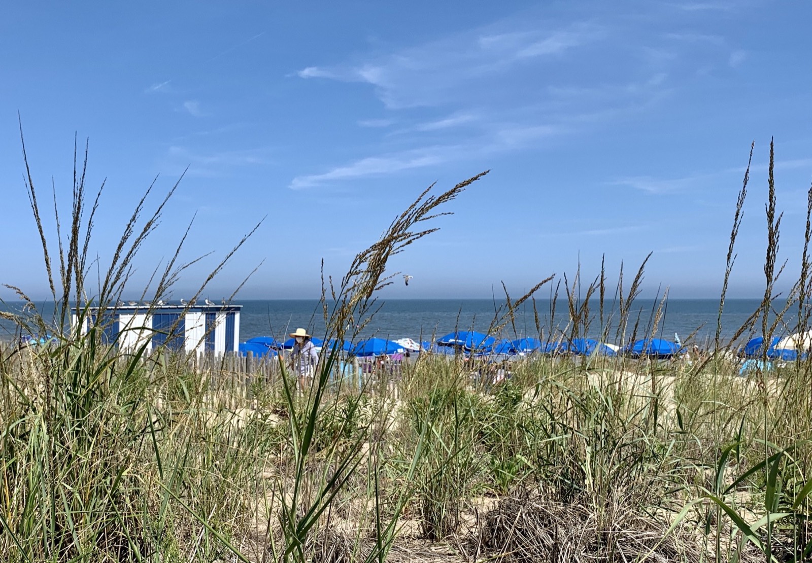 Hudson, Jones, Jaywork & Fisher Condominium and Homeowners Association Law